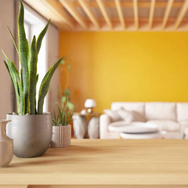 Organic Life Template